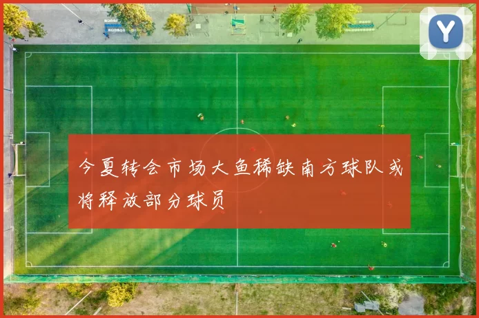 今夏转会市场大鱼稀缺南方球队或将释放部分球员
