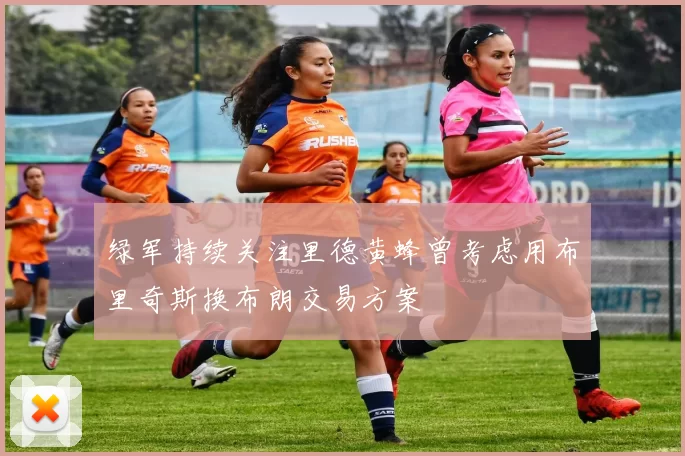 绿军持续关注里德黄蜂曾考虑用布里奇斯换布朗交易方案